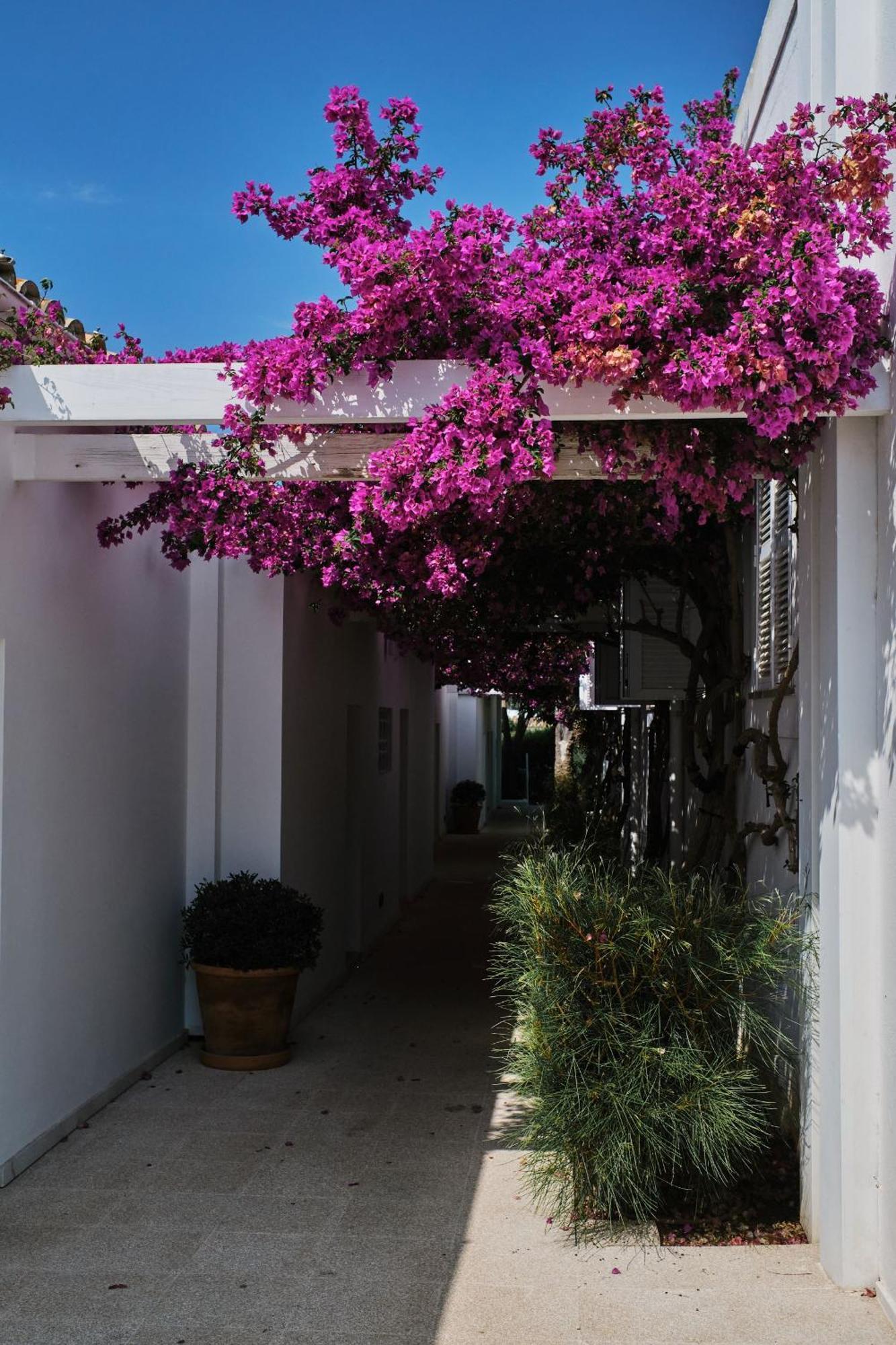 Prinsotel Mal Pas - Adults Only Alcudia  Exterior photo